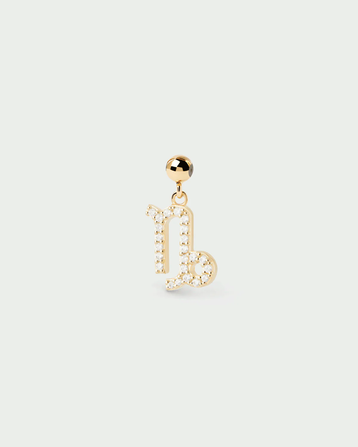 Capricorn Zodiac Charm