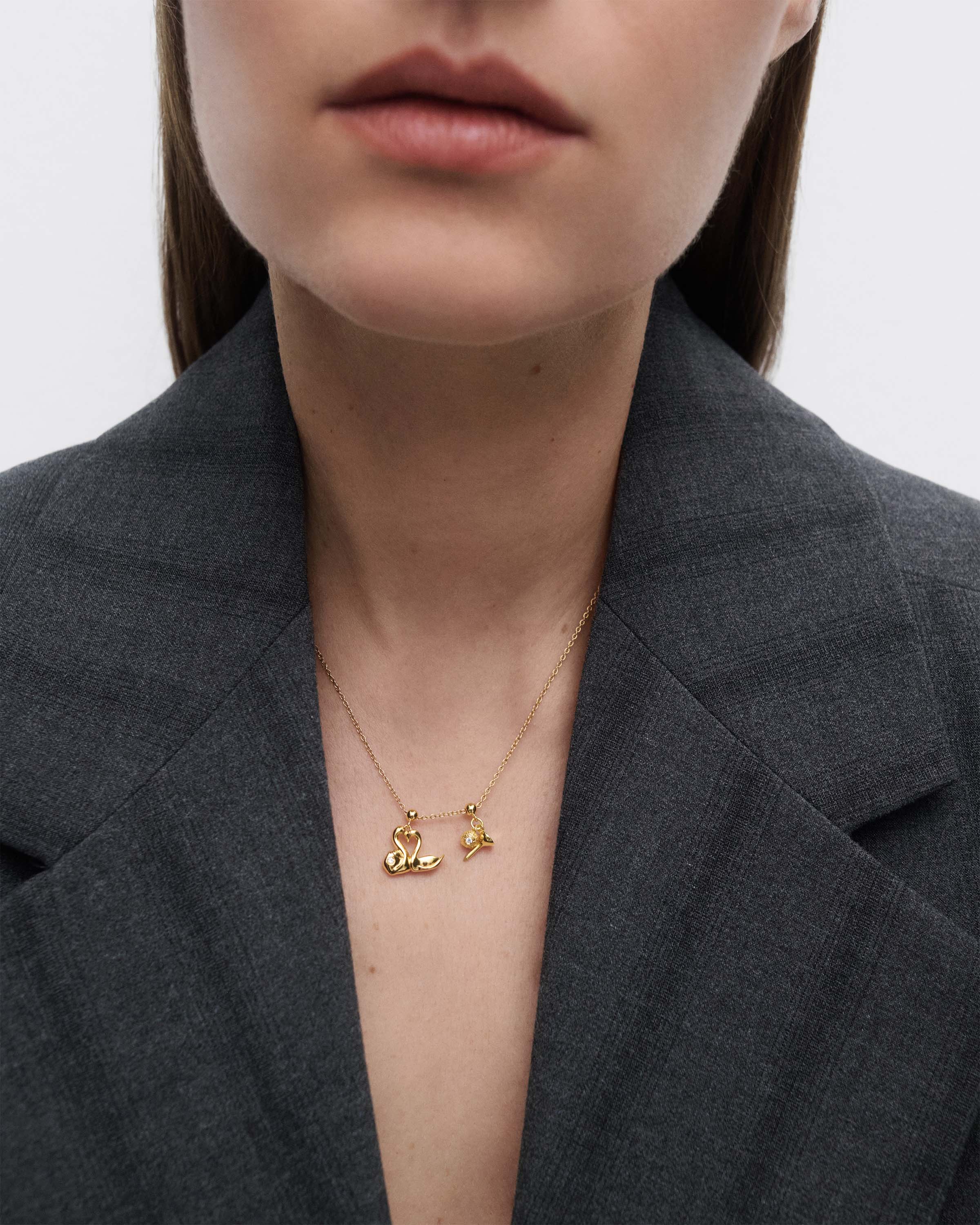 Love swans charm