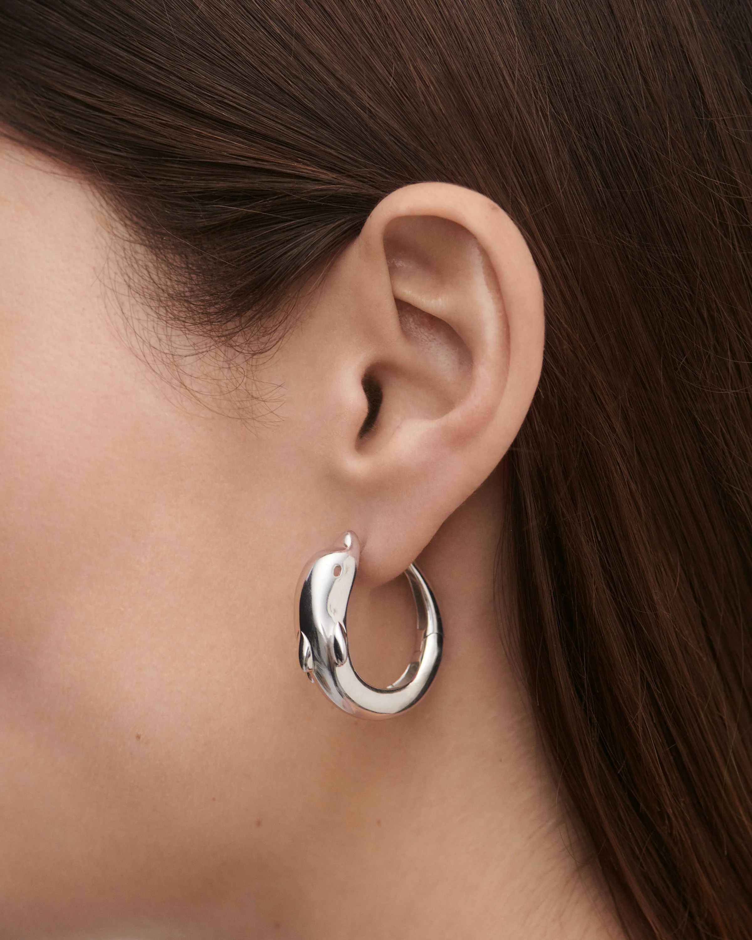 Dolphin silver hoops