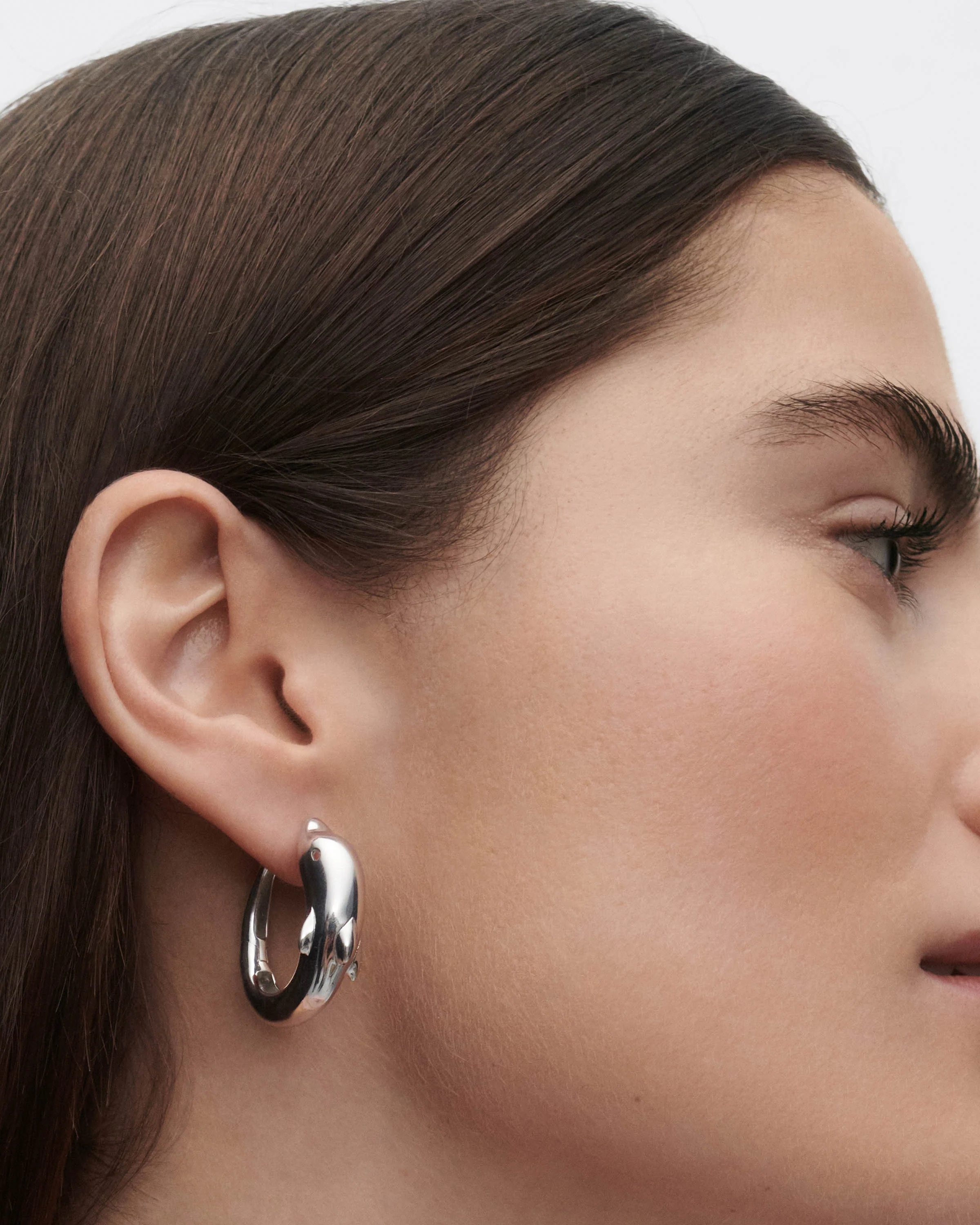 Dolphin silver hoops