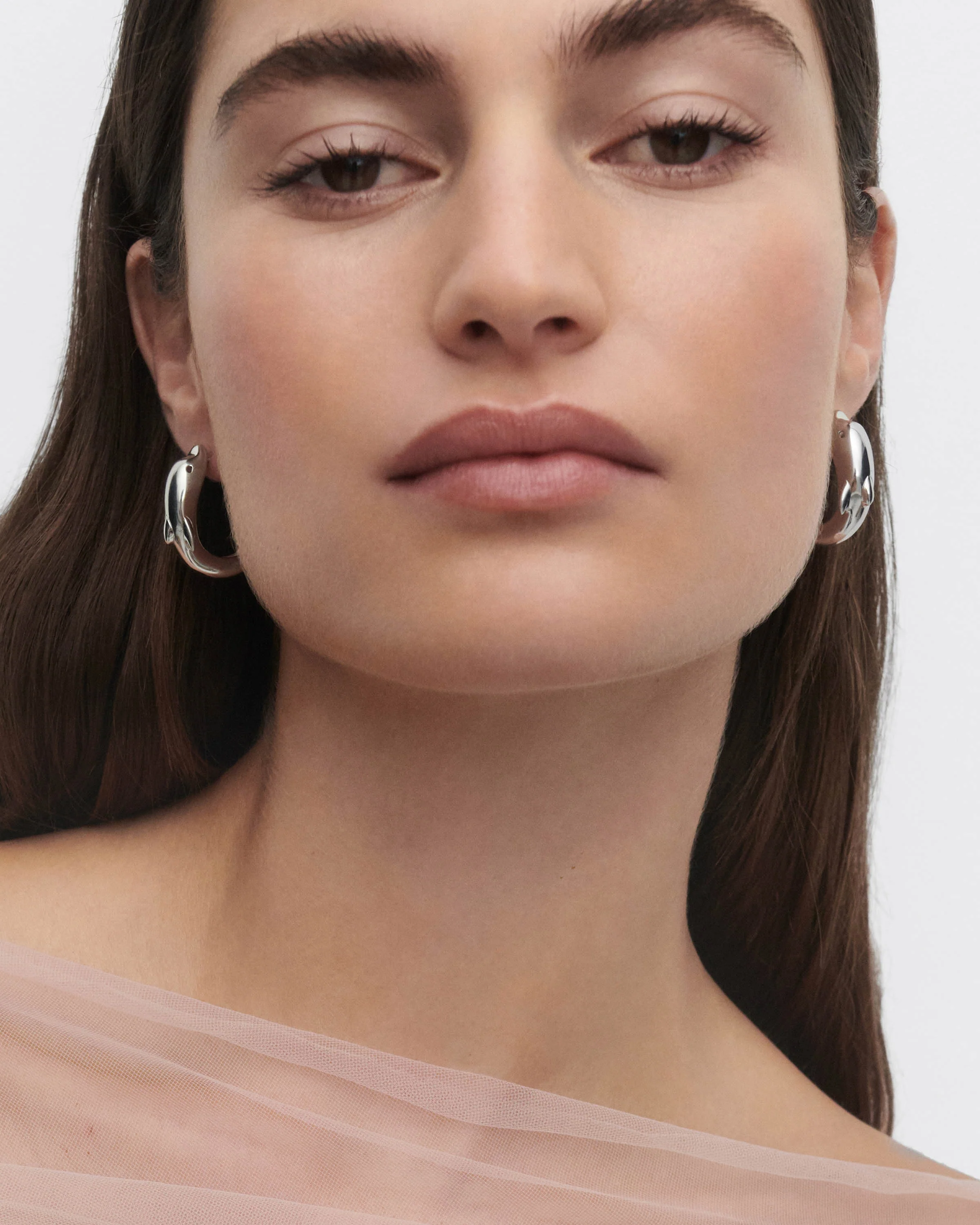 Dolphin silver hoops